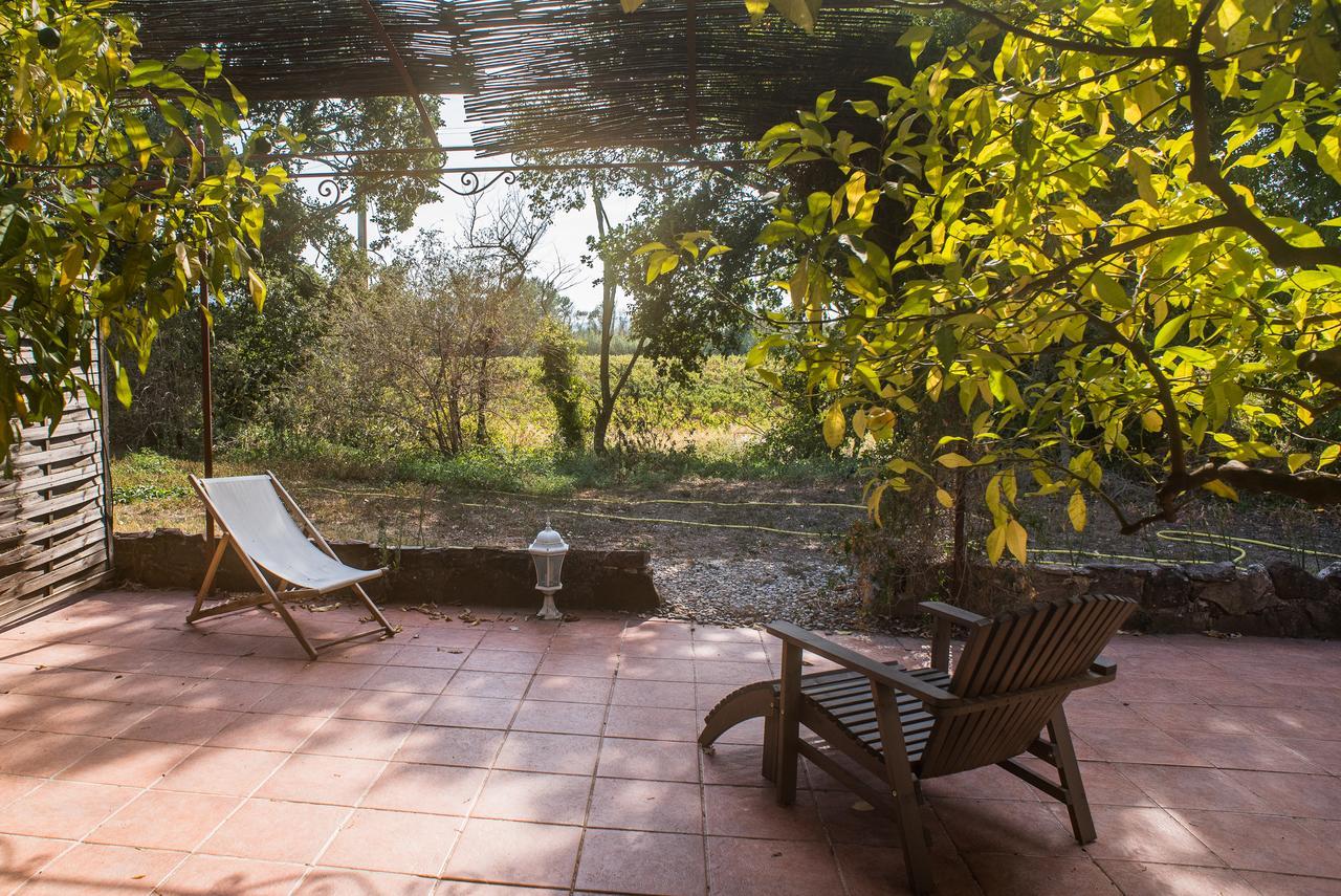 Domaine De La Marseillaise Apartment La Crau Luaran gambar